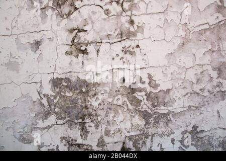 Graue Betonwand mit Rissen und Schimmel Textur Hintergrund Stockfoto