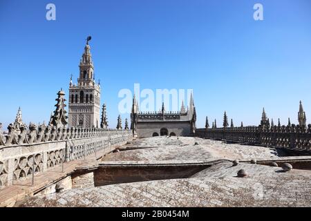 Giralda Tower fotografiert vom Dach der Kathedrale von Sevilla Stockfoto