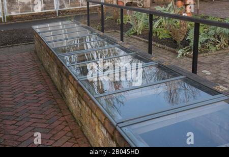 Kalte Rahmen zum Schutz Von Pflanzen im Gemüsegarten in Rosemoor im ländlichen Devon, England, Großbritannien Stockfoto