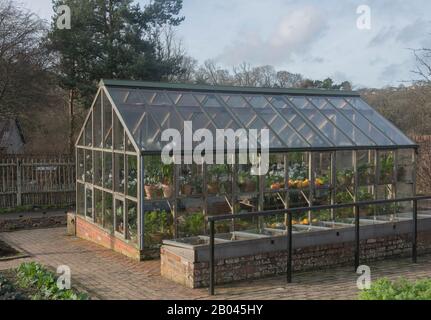 Traditionelles Gewächshaus im Gemüsegarten in Rosemoor im ländlichen Devon, England, Großbritannien Stockfoto