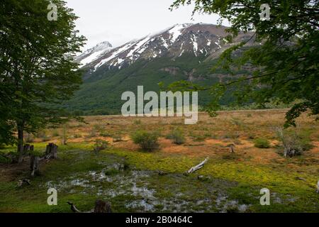 Landschaft vom Zug des Endes der World Railroad bei Ushuaia im Tierra del Fuego Nationalpark in Argentinien aus gesehen. Stockfoto