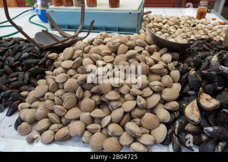 Marktszene mit Meeresfrüchten steht mit Muscheln und Muscheln in der Markthalle in Angelmo, Puerto Montt im Süden Chiles. Stockfoto