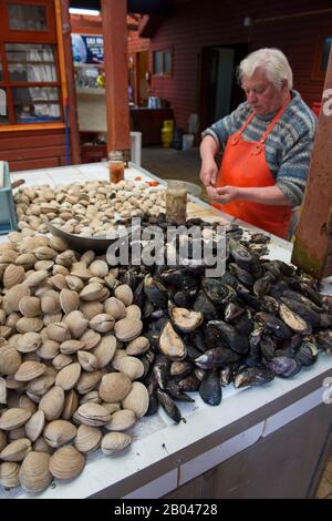 Marktszene mit Fischstand und Menschen, die Muscheln und Muscheln in der Markthalle in Angelmo, Puerto Montt im Süden Chiles reinigen. Stockfoto