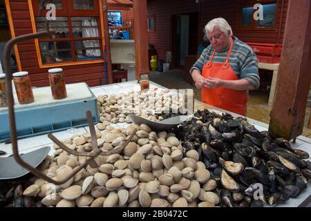 Marktszene mit Fischstand und Menschen, die Muscheln und Muscheln in der Markthalle in Angelmo, Puerto Montt im Süden Chiles reinigen. Stockfoto