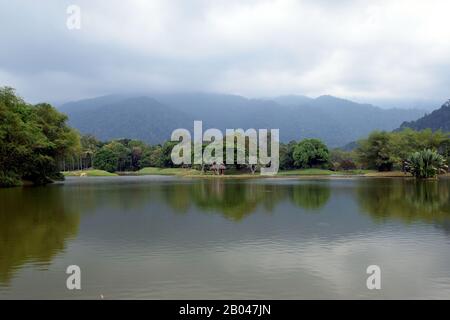 Taiping Lake Gardens, Malaysia Stockfoto
