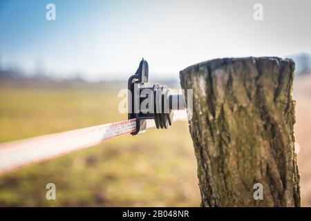 Schwarzer elektrischer Zaunisolator an einem Zaunpfosten. Stange aus Baumzweig mit Rinde. Wiese und blauer Himmel im Hintergrund Stockfoto