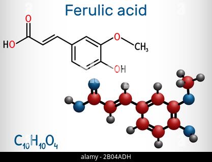 Ferulsäure, Konifersäure, C10H10O4-Molekül. Es handelt sich um Phenolsäure, ein Antioxidationsmittel, ein entzündungshemmendes Mittel, einen Apoptosos-Inhibitor, ein Kardioprot Stock Vektor