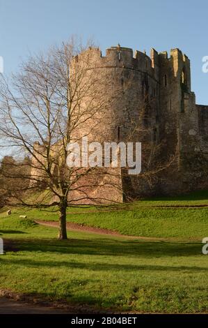Marten's Tower, Chepstow Castle in Chepstow, Monmouthshire, South Wales. Blick vom Parkplatz der anwesenden Besucher. Stockfoto
