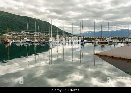 Segelboote moorierten am Touristenhafen von Tromsø Stockfoto