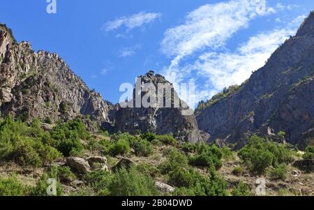 Rakaposhi Basislager Trek in der Karakorum-Gegend, 2019 Pakistan Stockfoto