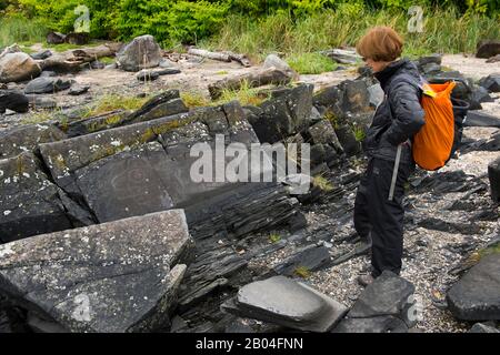 Frau, die Petroglyphen auf Felsen im Petroglyph Beach State Historic Park in der Nähe der Stadt Wrangell auf Wrangell Island, Tongass National Forest, Southeas betrachtet Stockfoto