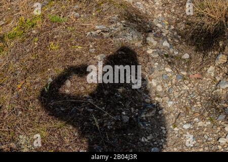 Der Schatten einer starken jungen Frau, die während einer Wanderung Muskeln mit einer Faust zeigt, die in der wilden Natur vor dem Hintergrund des Bodens geklungen ist Stockfoto