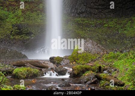 Blick auf die Latourell Falls, einen Wasserfall in der Nähe von Portland entlang der Columbia River Gorge in Oregon, USA, im Guy W. Talbot State Park. Stockfoto