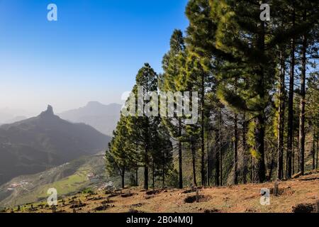 Panoramablick über die Berge und den Wald von Mirador de Degollada Becerra bis Roque Bentayga im Parque Rural del Nublo Park, Gran Canaria Stockfoto