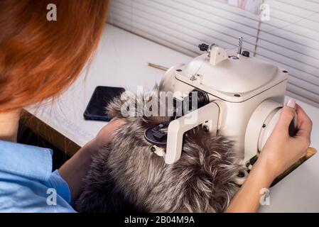 Professioneller Meister in der Herstellung von Bekleidung aus Pelz. Frau Couturier an der Nähmaschine. Der Prozess des Nähens von Fellkleidung. Designer Pelz Co Stockfoto