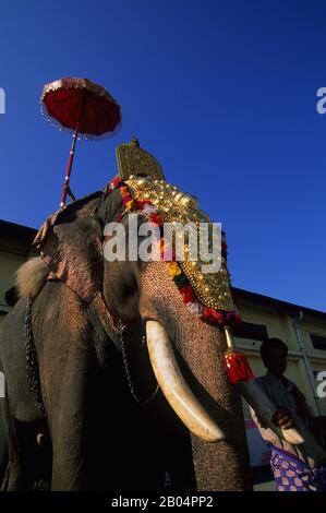 Nahaufnahme eines verzierten Elefanten in Cochin in Indien. Stockfoto