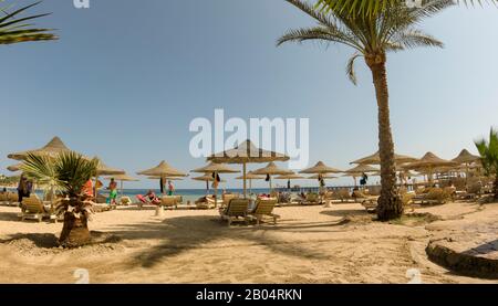 Urlauber am Strand auf Liegestuhlen unter Palmen vor dem Hintergrund des Ozeans, an einem sonnigen Tag Stockfoto