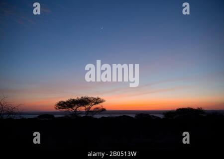 Blick auf den Sonnenaufgang vom Lake Burunge Camp in Tansania in der Nähe des Tarangire National Park. Stockfoto