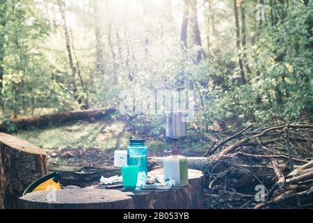 Campinggas auf Baumstumpf im sonnigen Wald im Frühjahr. Stockfoto