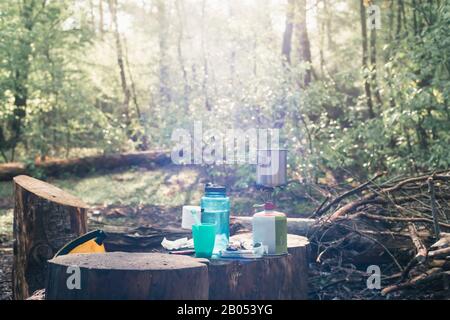 Campinggas auf Baumstumpf im sonnigen Wald im Frühjahr. Stockfoto