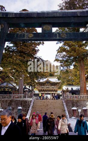 Torii, Tor, Menschen, Touristen, im Toshogu-Tempel, Japan Stockfoto