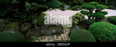 Bäume und Pflanzen in einem Garten, Yuzen-En-Garten, Chion-In, Higashiyama Ward, Kyoto, Präfektur Kyoto, Kinki Region, Honshu, Japan Stockfoto