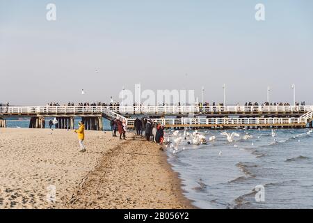 Polen, Sopot, 9. Februar 2020. Leute, die am Strand joggen. Nordic Walking. Wintersaison am Meer. Winterspaziergang am Strand. Menschen kühlen sich in Kälte ab Stockfoto