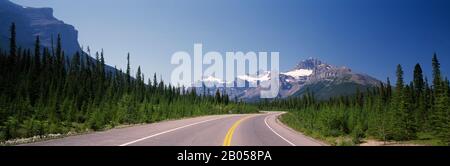 Die Straße führt durch einen Wald, den Trans-Canada Highway, den Banff National Park, Alberta, Kanada Stockfoto