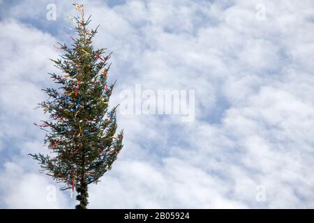 Maibaum in deutschland. Traditionell dekoriert May Tree mit blauem Himmel Stockfoto