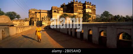 Indianischer Heiliger, der in einer Straße spaziert, Orchha, Tikamgarh District, Madhya Pradesh, Indien Stockfoto