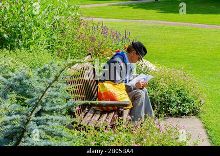 York, 15. Jul.: Außenansicht der Museum Gardens am 15. Jul. 2011 in York, Großbritannien Stockfoto