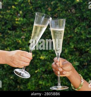 Zwei Hände, die Champagner-Weingläser und Klopfsglas in einem Toast halten. Stockfoto