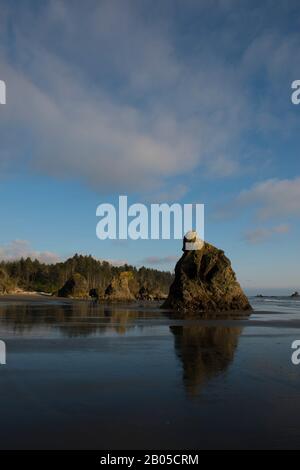 Ruby Beach auf der Olympia-Halbinsel im Olympia-Nationalpark im US-Bundesstaat Washington im Abendlicht Stockfoto