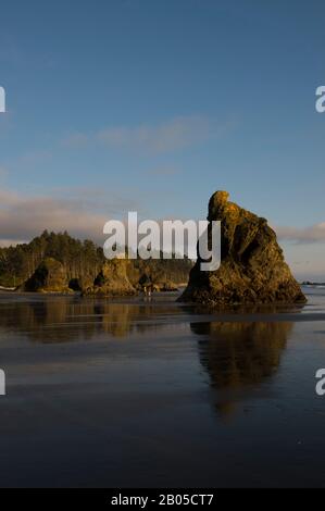 Menschen am Ruby Beach auf der Olympia-Halbinsel im Olympia-Nationalpark im US-Bundesstaat Washington im Abendlicht Stockfoto