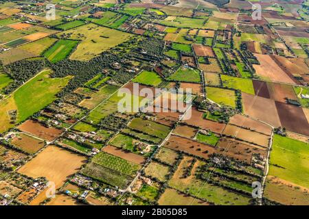 Feldlandschaft rund um Vilafranca de Bonany, 09.01.2020, Luftbild, Spanien, Balearen, Mallorca, Vilafranca de Bonany Stockfoto