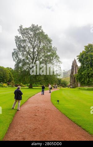 Edinburgh, 11. Juli: Morgendlicher Blick auf die Ruinen der Holyrood Abbey am 11. Juli 2011 in Edinburgh Stockfoto