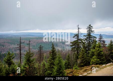 Nationalpark Harz am Brocken, Deutschland, Niedersachsen, Nationalpark Harz Stockfoto