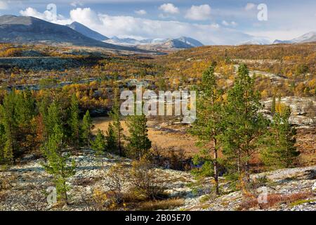 Tundra im Rondane National Parc im Herbst, Norwegen, Rondane National Park Stockfoto