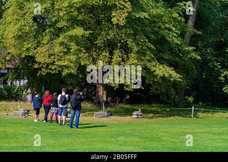 York, 15. Jul.: Außenansicht der Museum Gardens am 15. Jul. 2011 in York, Großbritannien Stockfoto