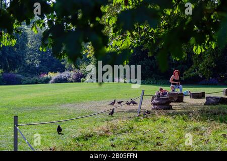 York, 15. Jul.: Außenansicht der Museum Gardens am 15. Jul. 2011 in York, Großbritannien Stockfoto