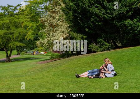 York, 15. Jul.: Außenansicht der Museum Gardens am 15. Jul. 2011 in York, Großbritannien Stockfoto