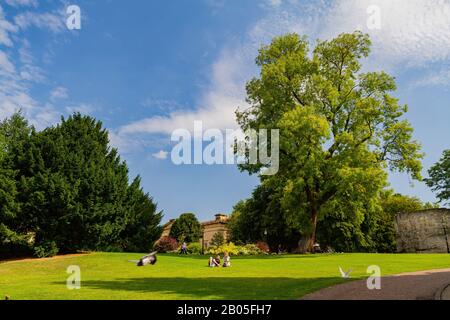 York, 15. Jul.: Außenansicht der Museum Gardens am 15. Jul. 2011 in York, Großbritannien Stockfoto