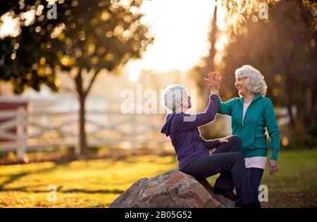 Zwei lächelnde ältere Frauen, die sich gegenseitig ein hohes - fünf in einem Park. Stockfoto