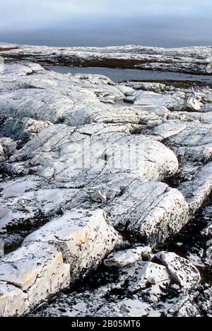 KANADA, NW-GEBIETE, HUDSON BAY, MARMORINSEL, LANDSCHAFT Stockfoto