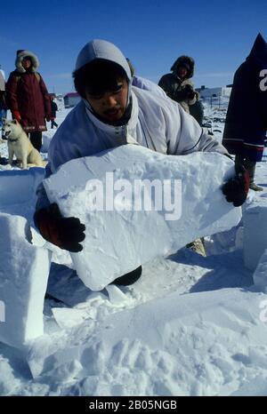 KANADA, N. W.T., IQALUIT, TOONIK TYME FESTIVAL, IGLU-BAUWETTBEWERB FÜR KINDER Stockfoto