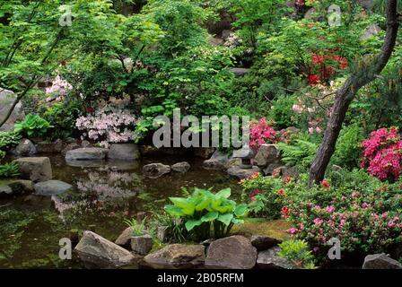 OREGON, PORTLAND, JAPANISCHER GARTEN, NATURGARTEN Stockfoto