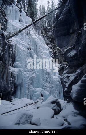 KANADA, KANADISCHE ROCKIES, ALBERTA, JASPER, MALIGNE CANYON, IM WINTER GEFRORENER WASSERFALL Stockfoto