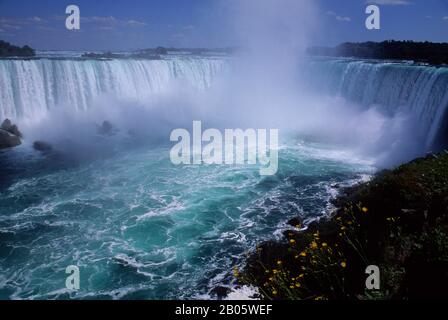 KANADA, ONTARIO, NIAGARA RIVER, NIAGARA FALLS, HUFEISENFÄLLE, BLUMEN IM VORDERGRUND Stockfoto