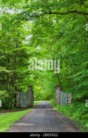 Schotterstraße mit geöffnetem Stein- und schmiedeeisernem Tor durch Wald von Laubbäumen im späten Frühjahr, die zum Domaine Joly-De Lotbiniere Garden führt. Stockfoto