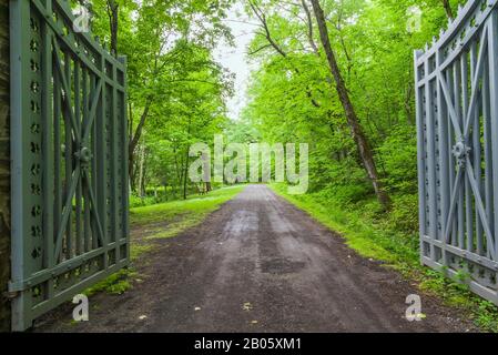 Graue Schotterstraße und geöffnetes schmiedeeisernes Metalltor durch Wald von Laubenbaum im späten Frühjahr, Domaine Joly-De Lotbiniere Estate Garden, Quebec. Stockfoto